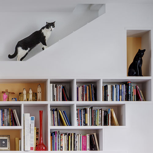 House for Booklovers and Cats